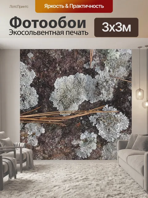 Фотообои Покрытая лишайником скала