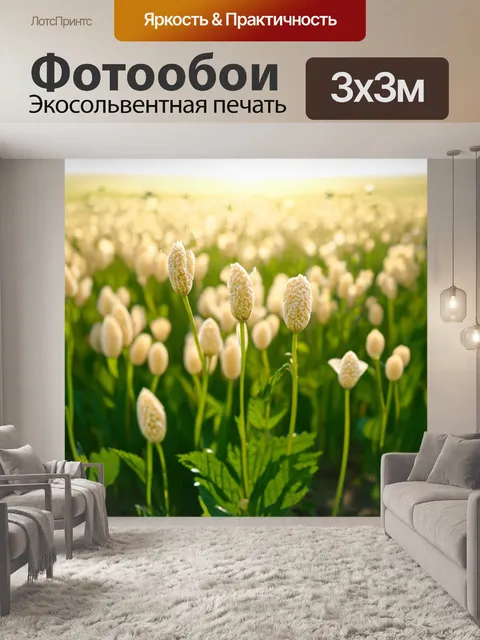 Фотообои бежевые гороховые цветы, растущие на полях в ярком свете весеннего солнца