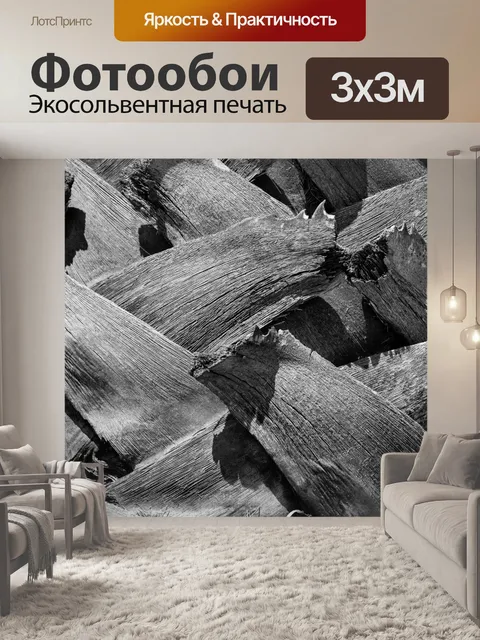 Фотообои Палм текстуры ствола дерева