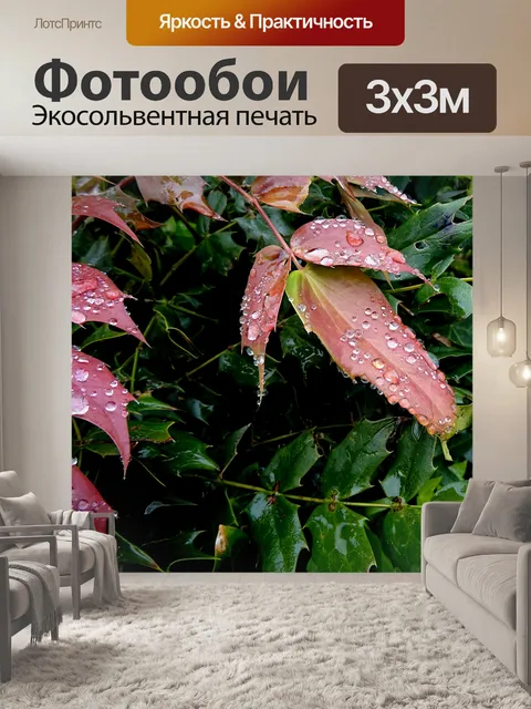 Фотообои Капли дождевой воды на кустарнике сада