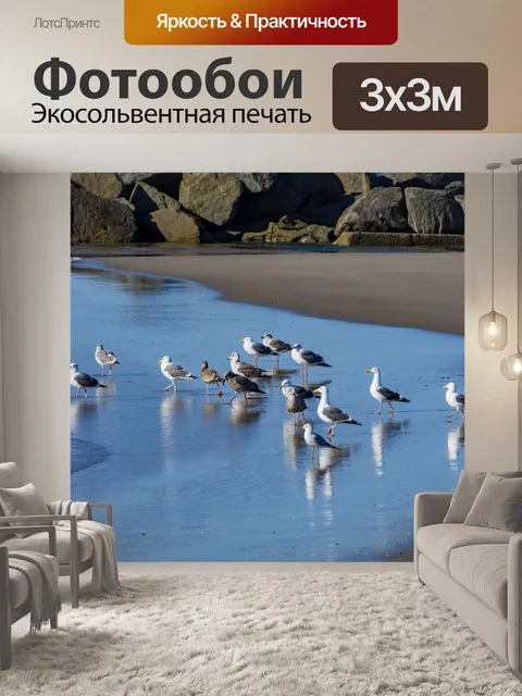 Фотообои Чайки на берегу