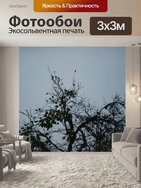 Фотообои Зима