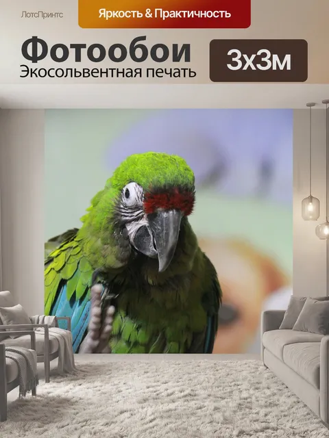 Фотообои Попугай