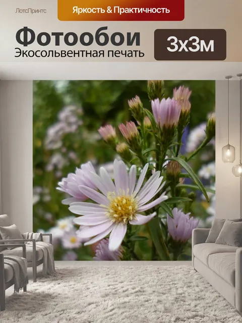 Фотообои Белый цветок желтый пестик