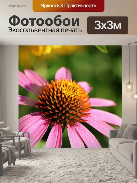 Фотообои Розовый Василек крупным планом 4