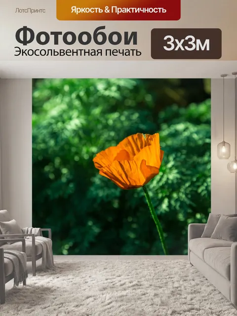 Фотообои Мак цветок