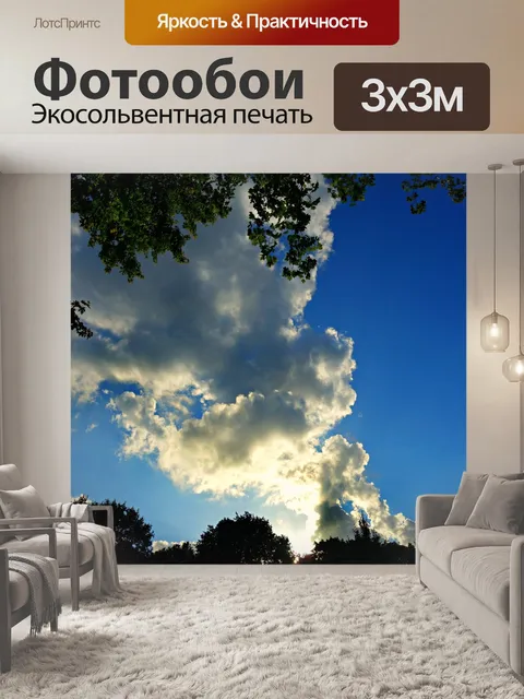 Фотообои Верхушках деревьев