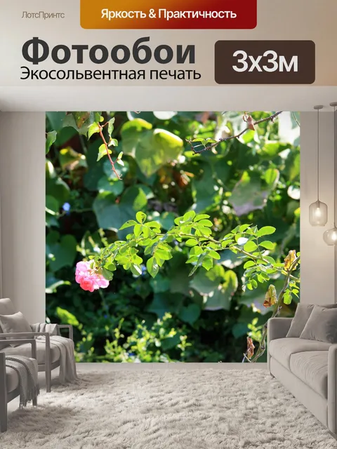 Фотообои один розы цветут