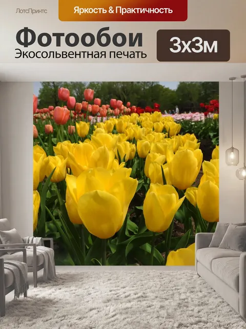 Фотообои Желтые тюльпаны