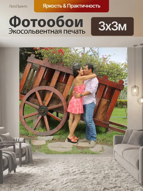 Фотообои Пара