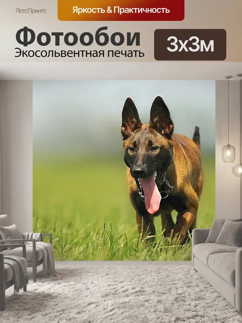 Фотообои Малинуа
