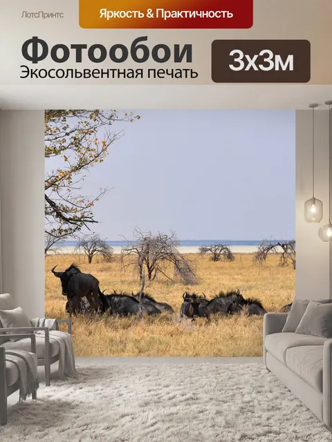 Фотообои Африке
