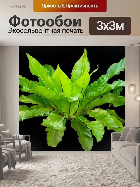 Фотообои Адресу kadaka