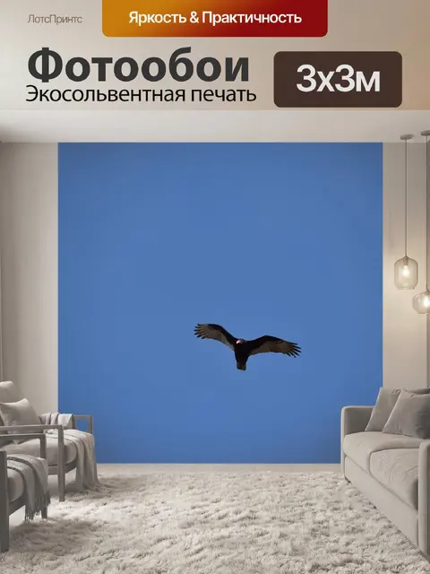 Фотообои Канюк
