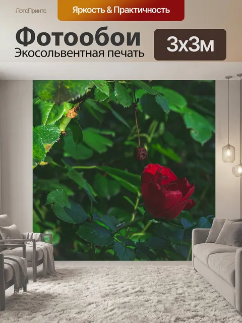 Фотообои Розовый