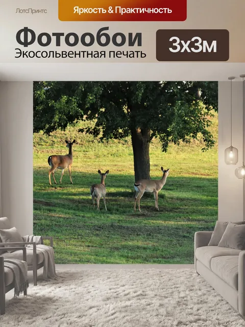 Фотообои Три белохвостых оленя в поле