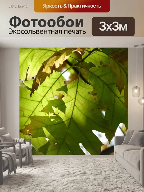 Фотообои Красный дуб