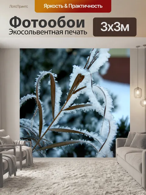 Фотообои Мороз