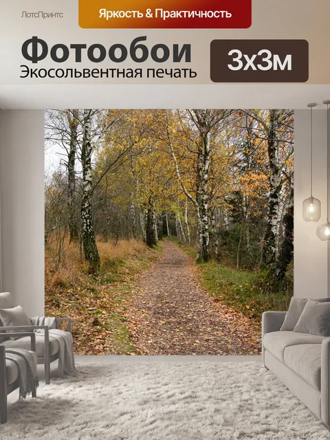 Фотообои Березы