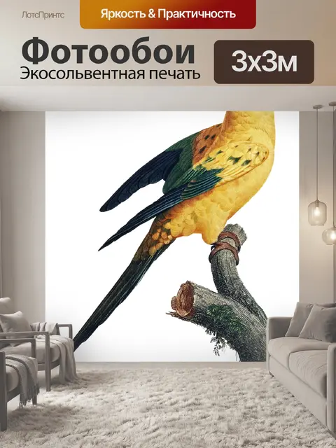 Фотообои Попугай птица старинное искусство