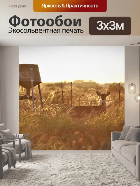 Фотообои Лань