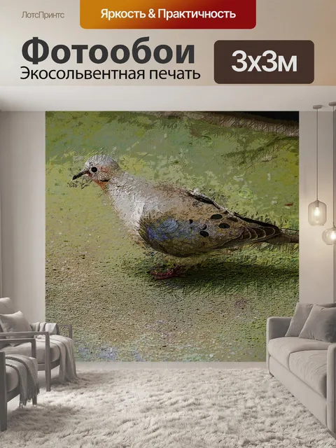 Фотообои утренний голубь