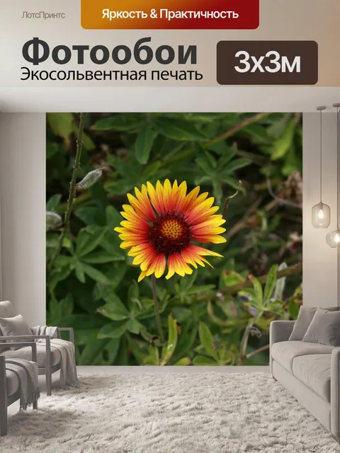Фотообои Красочный