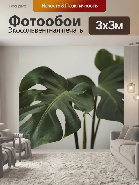 Фотообои Монстера растение
