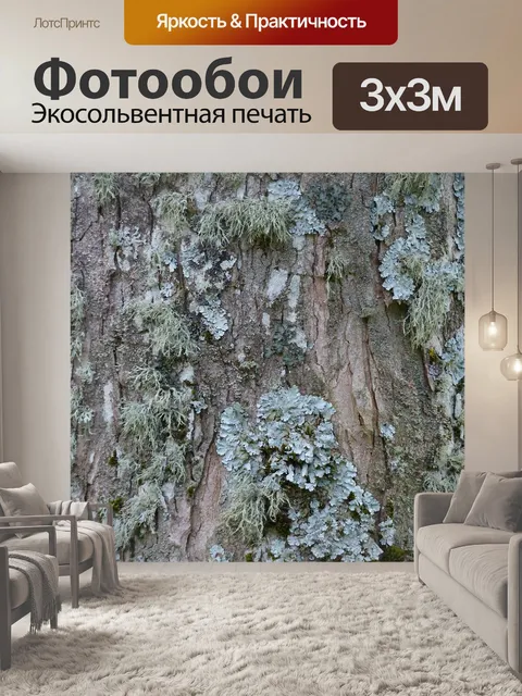 Фотообои Лишайник