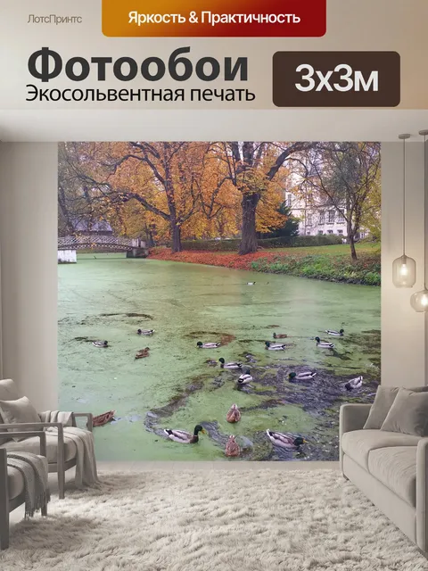 Фотообои Озеро пруд мост парк