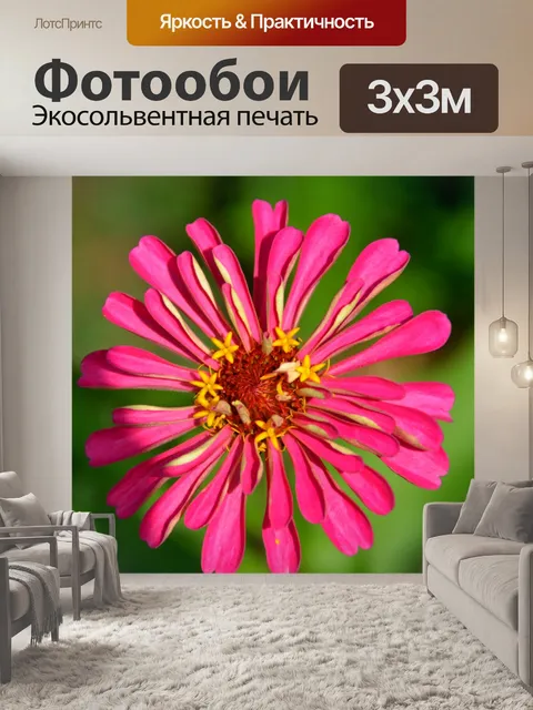Фотообои Цветок Цветение