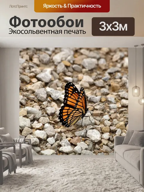 Фотообои Бабочка монарх на белых скалах