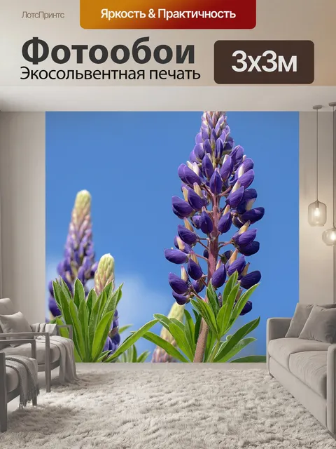 Фотообои Люпин