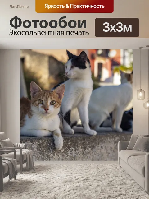 Фотообои Кошки
