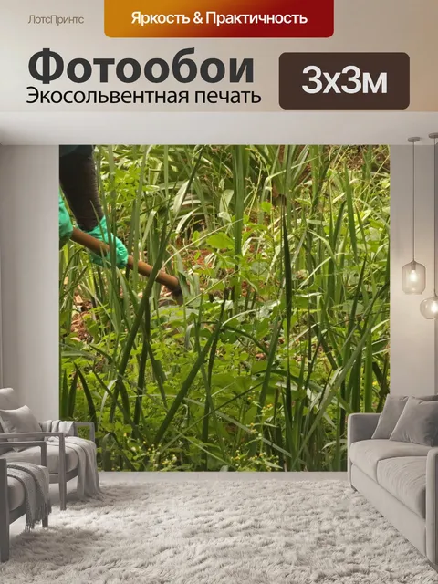 Фотообои садовник с мотыгой