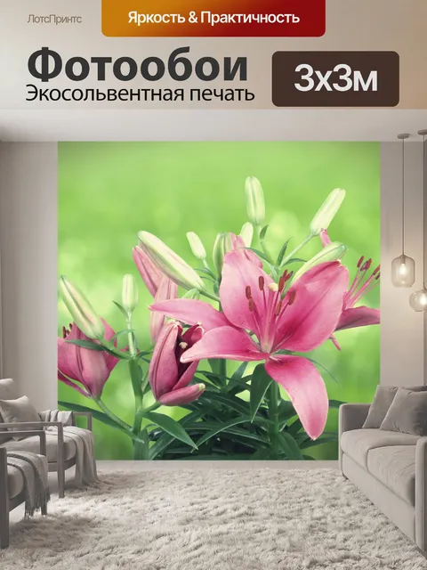 Фотообои Цветок лилии