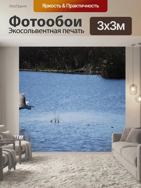 Фотообои Птица