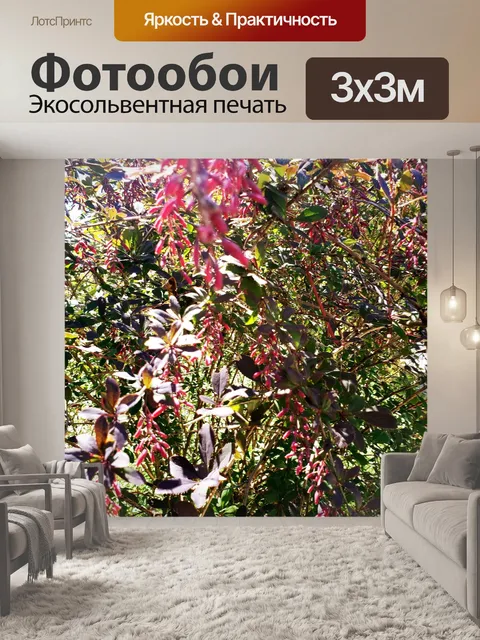 Фотообои Фиолетовые листья