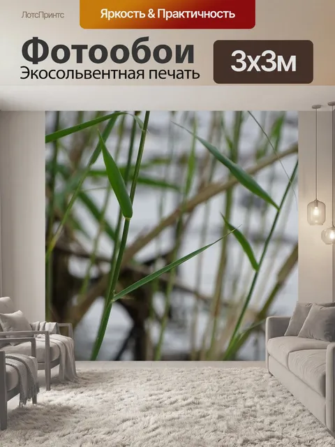 Фотообои Трава
