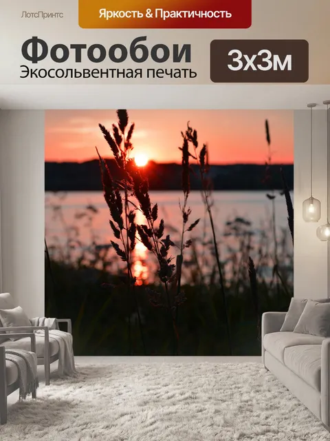 Фотообои Травинки на фоне заката