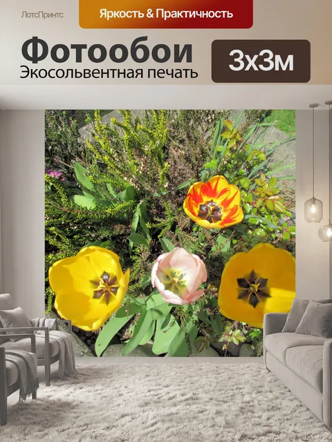 Фотообои красивые цветы