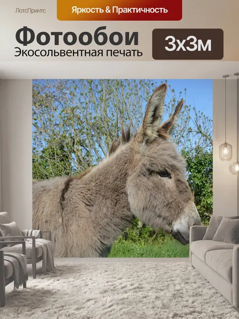 Фотообои Осел, походы, спокойствие