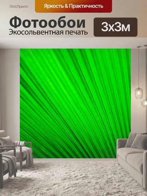 Фотообои Веерная пальма