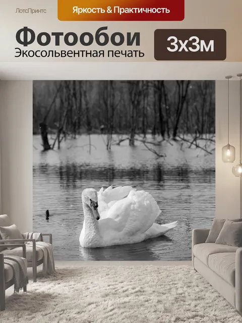 Фотообои Белый лебедь