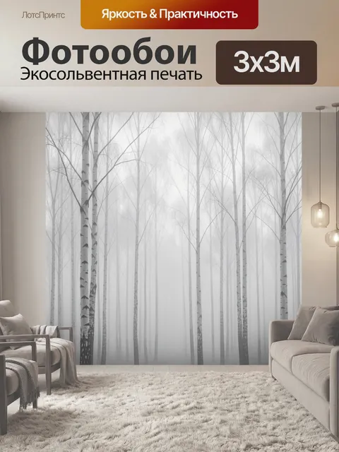 Фотообои Туманный березовый лес