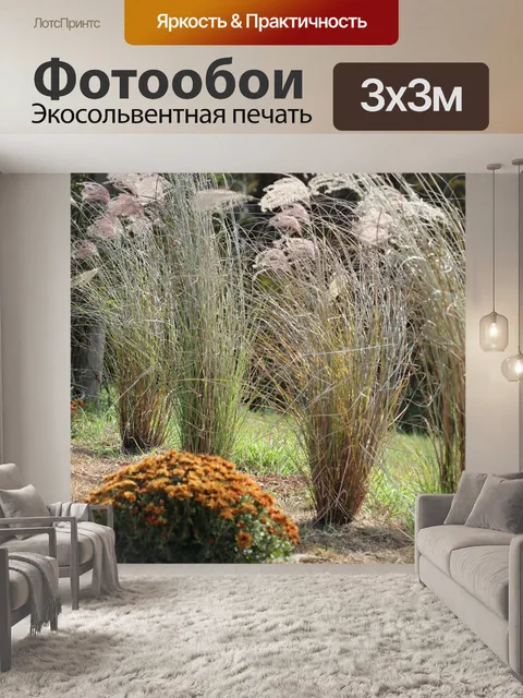 Фотообои Травы