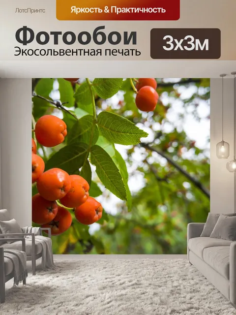 Фотообои Рябина