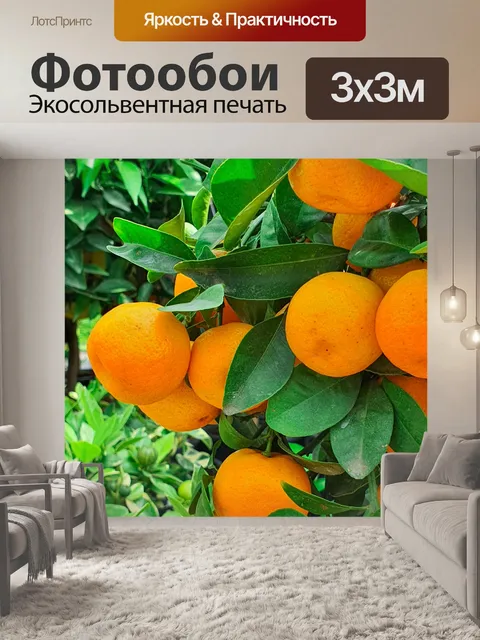 Фотообои Мандарины, растущие на дереве