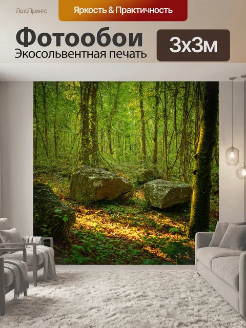 Фотообои лес с древними камнями, скрытыми лианами, и легким светом, пробивающимся сквозь деревья