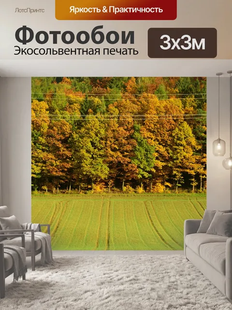 Фотообои Падение